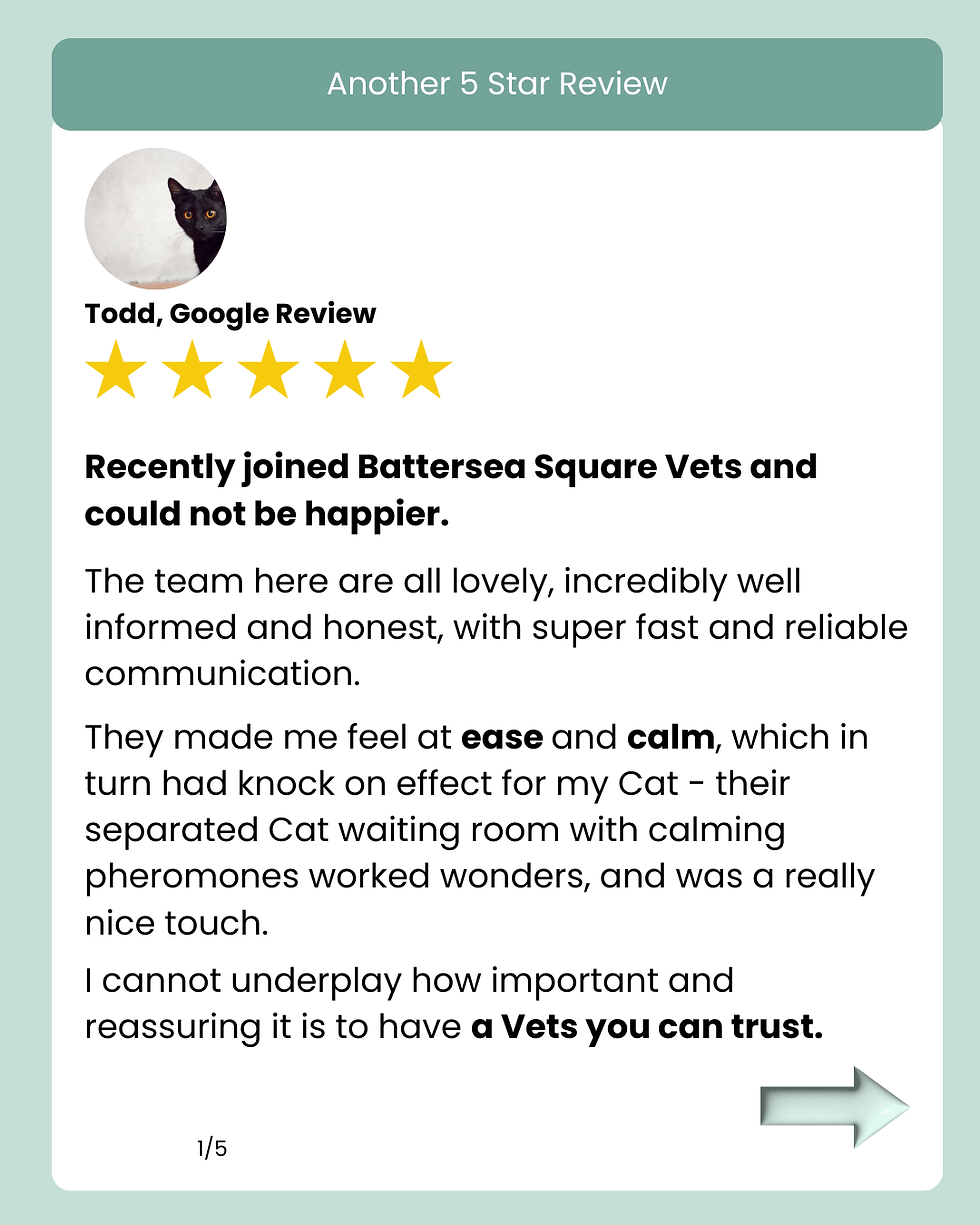 Google Dental Care Review
