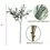Thumbnail: 34" Olive Tree Branch
