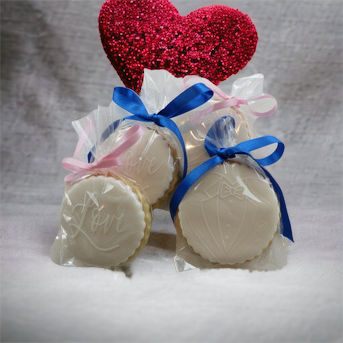 PhotoRoom_20230413_135538.PNG