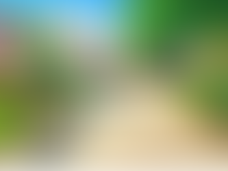 Need a Break? Discover the Most Peaceful Parks Around the Triad to Clear Your Mind