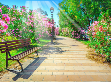 Need a Break? Discover the Most Peaceful Parks Around the Triad to Clear Your Mind