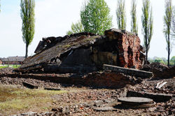 ポーランド/アウシュビッツ