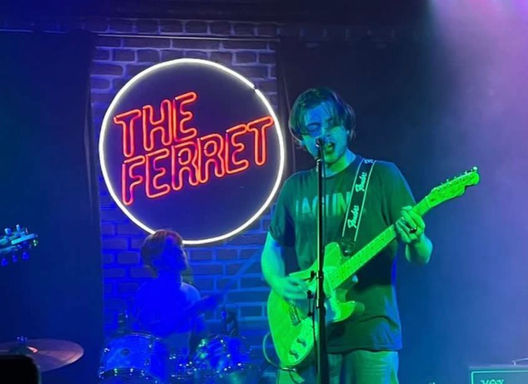 The Ferret.jpeg