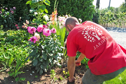 Braffort Christophe Plantations