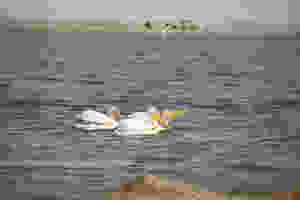 walvis-bay.jpg