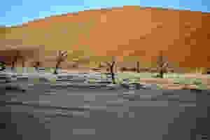 deadvlei.jpg