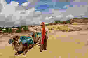 camel-ride.jpg