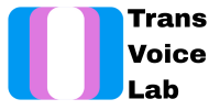 transvoicelab.png