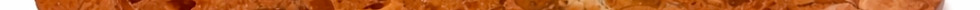 1000124675.jpg