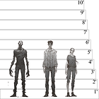 Human.png