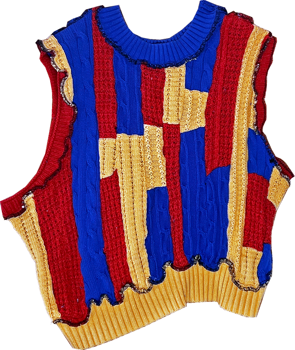 Thumbnail: PRIMARY COLOR-BLOCKED SWEATER VEST