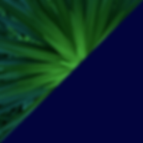 Design sem nome (1).png