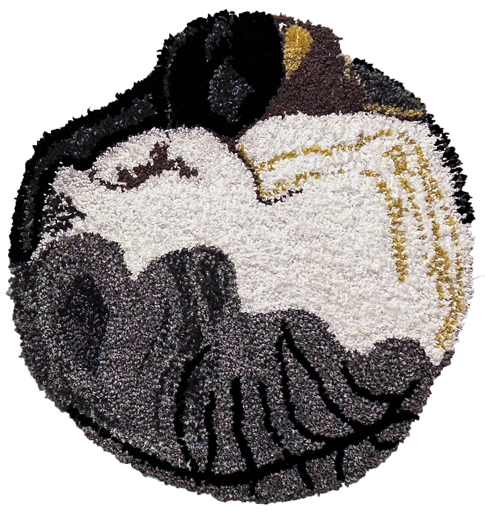 Rehearsal with my cat