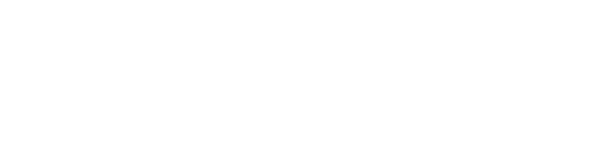 NORDIC CARE logo
