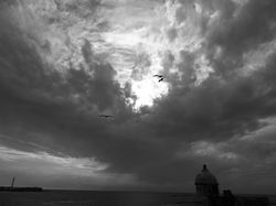 DSC01524.JPG
