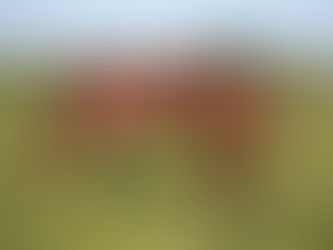 PEGASE DU LANDEY à vendre