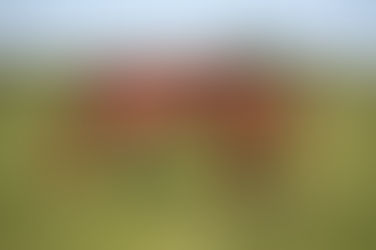 PEGASE DU LANDEY à vendre