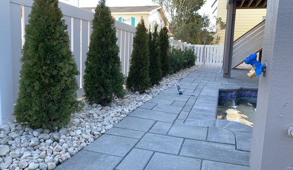 pool back planting.jpg