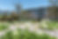 Bad Ragaz resort