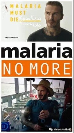 Malaria No More