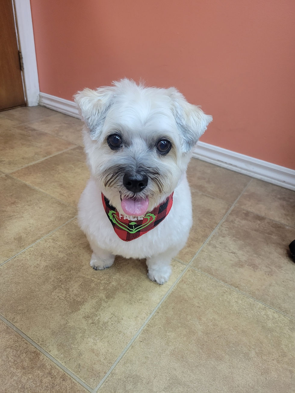 20221220_144425_resized