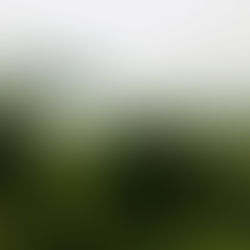 «Wer in der Zukunft lesen will, muss in der Vergangenheit blättern»