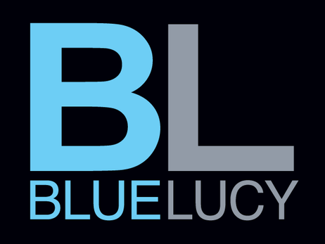 2010 • “Launch” Bluelucy Gallery, St Petersburg, FL