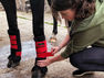 Mud fever magic: Protechmasta Silveraid leg wraps review.