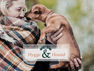 Hygge & Hound.