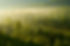 iStock-157439341.jpg