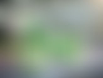 Analysis of LimeBike bike share