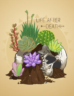 Life After Death
