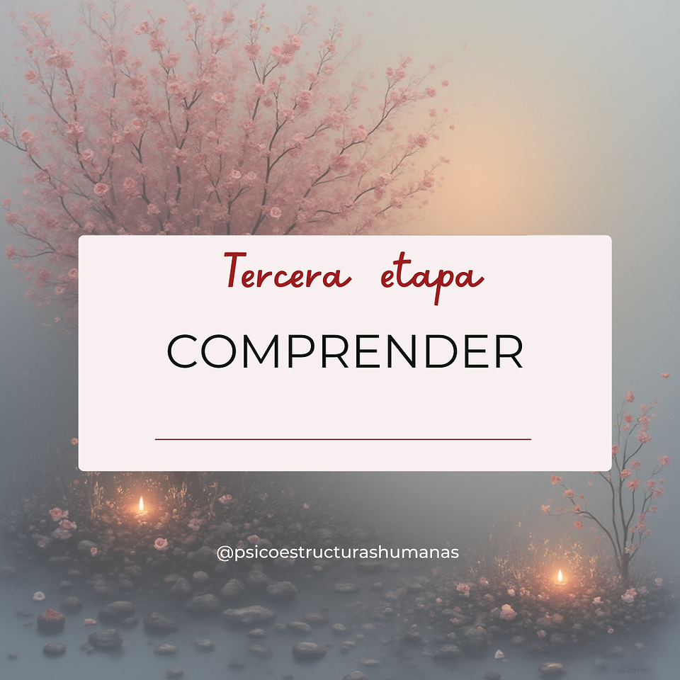 COMPRENDER