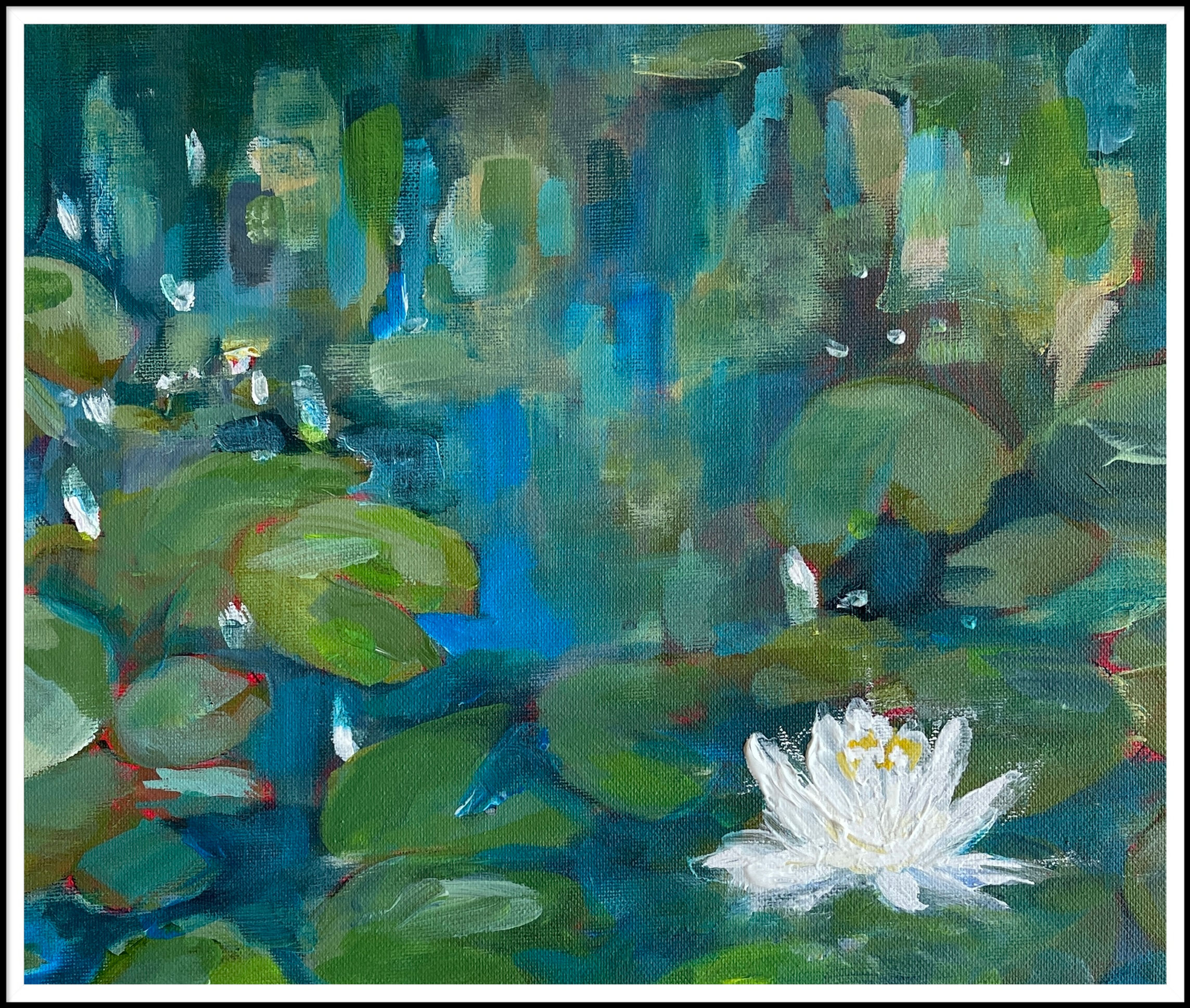 Floating stars -Water lily