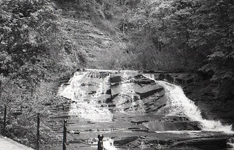 img20241211_12142798