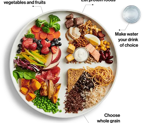 food_guide_visual_en.webp