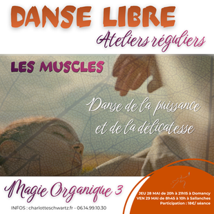 28 MAI et 29 MAI : ATELIER - LES MUSCLES - DANSE LE LA PUISSANCE ET DE LA DELICATESSE (MAGIE ORGANIQUE 3)