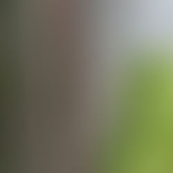 ARTICLE - PSYCHOTHERAPIE, NATURE ET POESIE ou l'art de guérir dans l'émerveillement