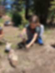 Gardening 1.jpeg