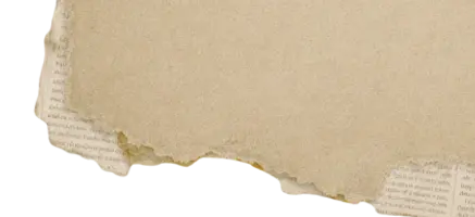 recorte_esq.webp