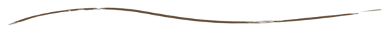 divisoria.png