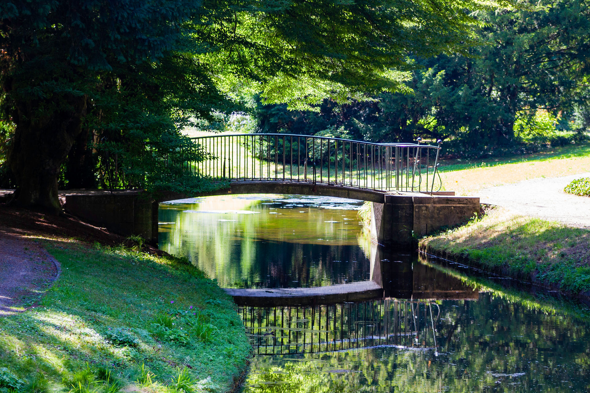 A bridge in the woods