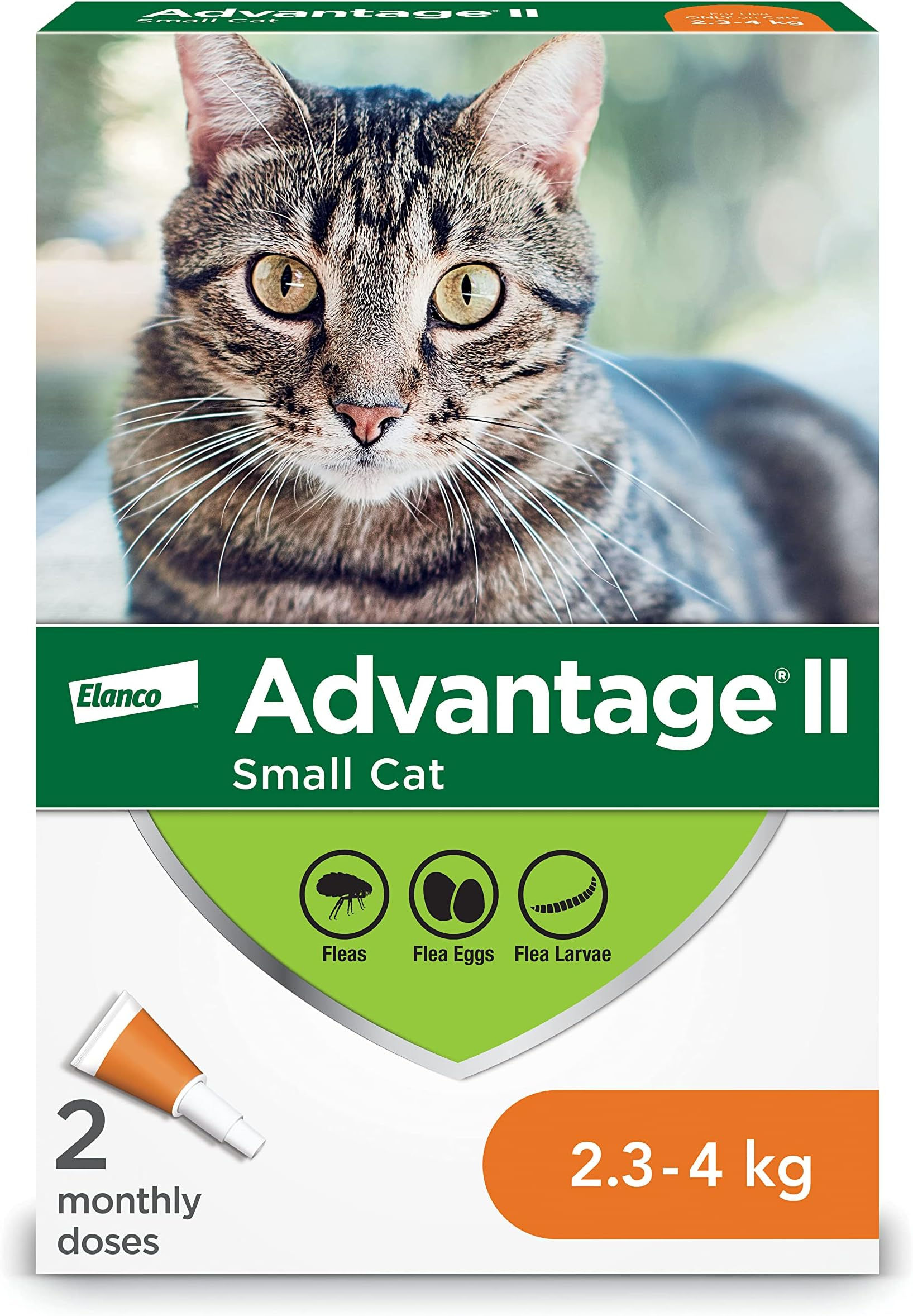 Advantage ll small cats, rabbits, ferret (2.3 - 4 kg)