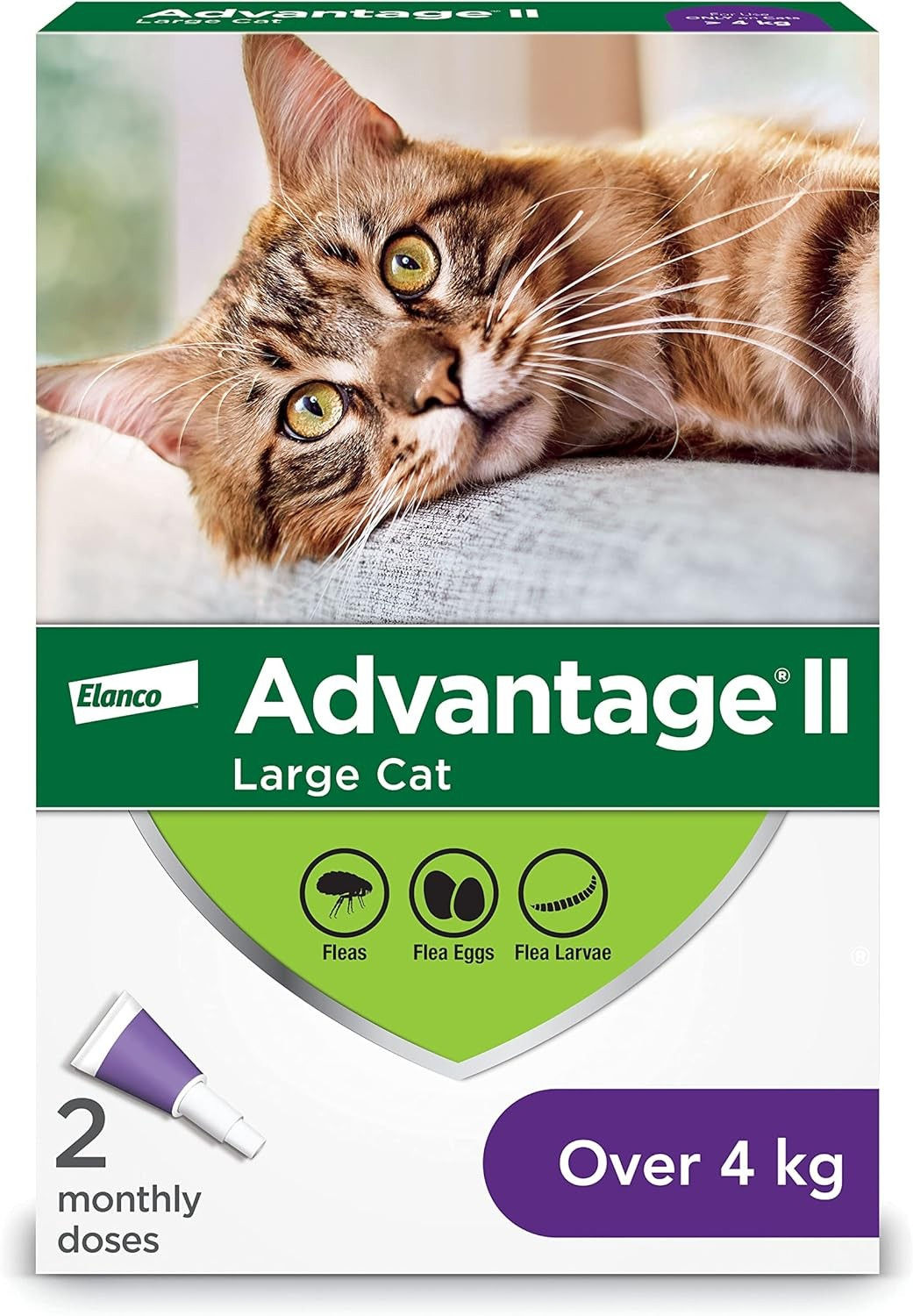 Advantage ll large cat, rabbit (>4)