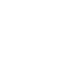 SKP_Icon_W.png