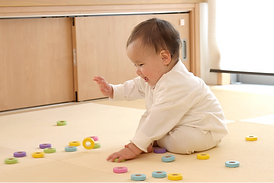 快適に使える畳のための防虫・衛生加