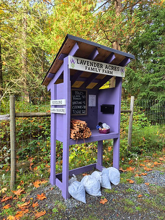 WhatsApp Image 2025-10-21 at 10.40_edite