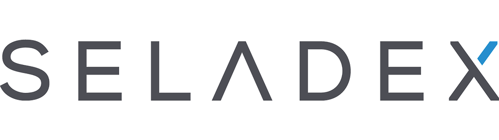 Seladex Text Logo.png
