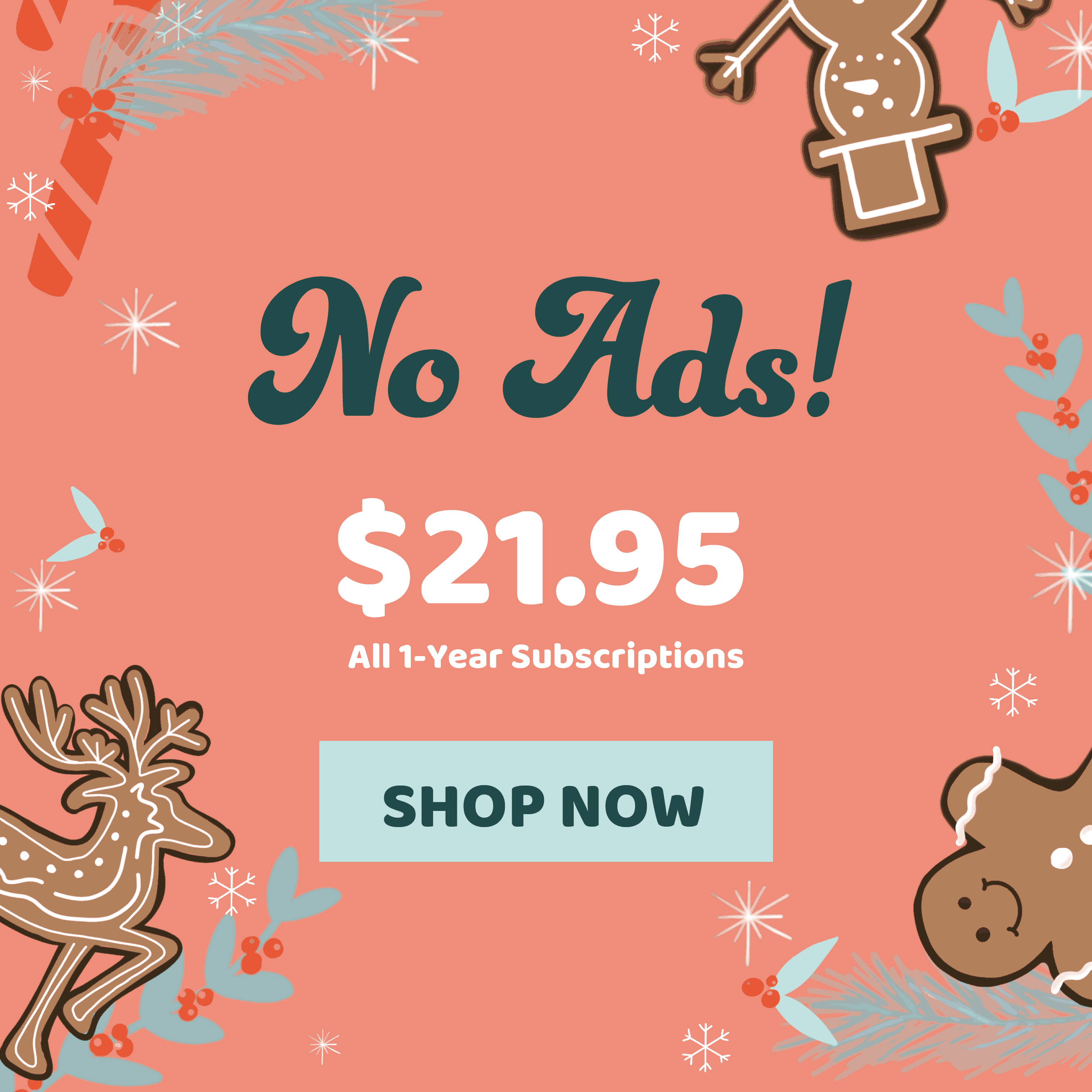 12DayHolidayBanners.gif