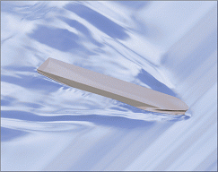 BC in wave.gif